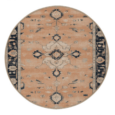 Machine Washable Overdyed Brown Area Rug