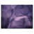 Wrapped Canvas selected