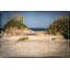 Pea Island Sand Dunes Print by Werder, Lillis-1662548689-1662548688