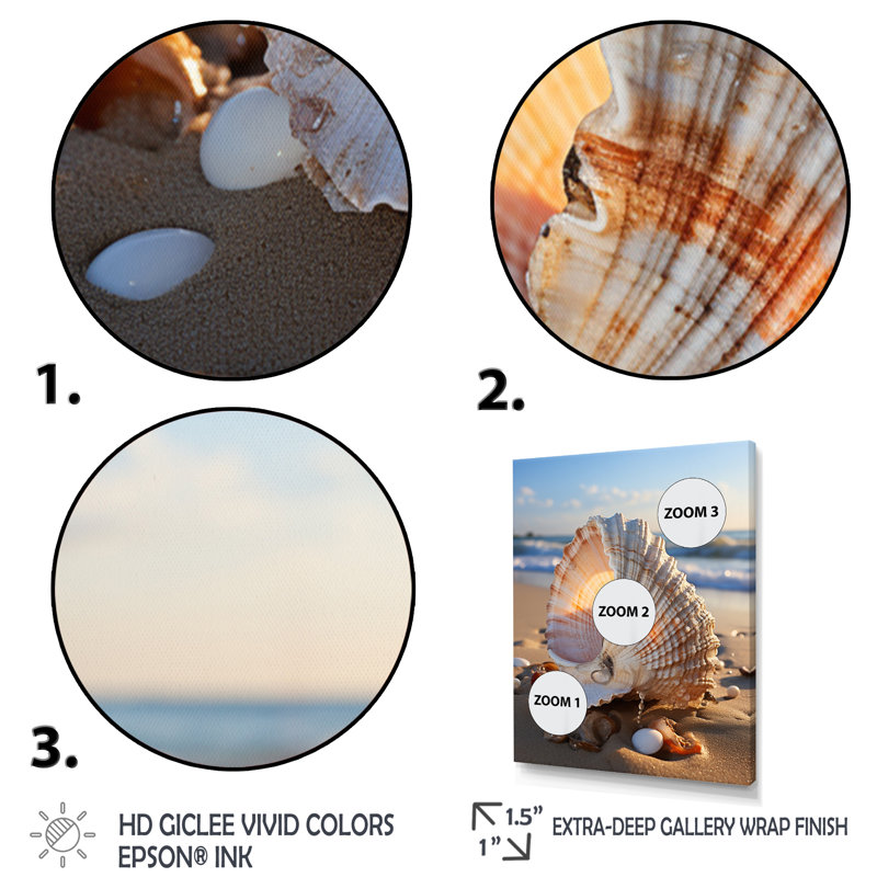 Travell White Seashell Close Up III sur toile, H 32 po x l 16 po x P 1 po, Cadre flottant doré