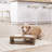 Teamson Pets Elevated 2- Dish Pet Feeder