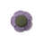 Floor Cushion Purple Poppy