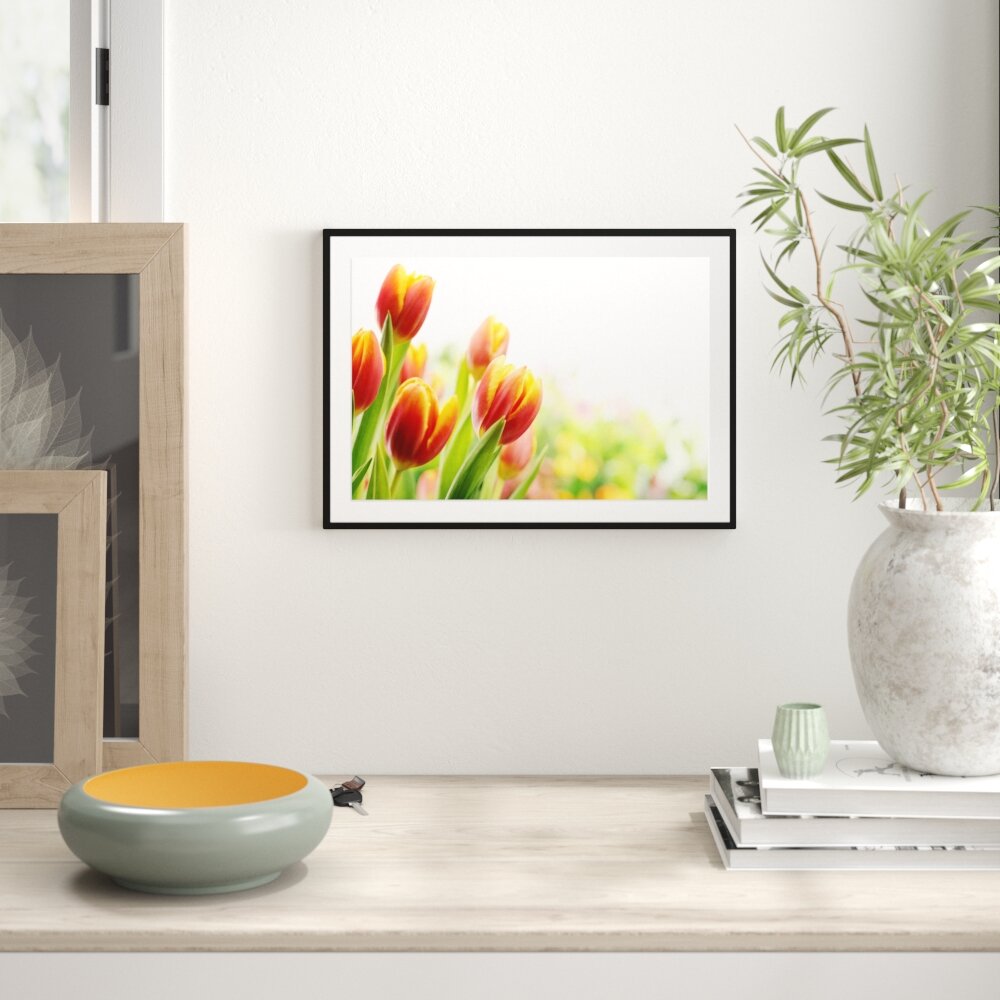 Gerahmtes Poster Bunte Tulpenwiese