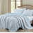 Ivy Floral Medallion Printed Quilt Set-101335377