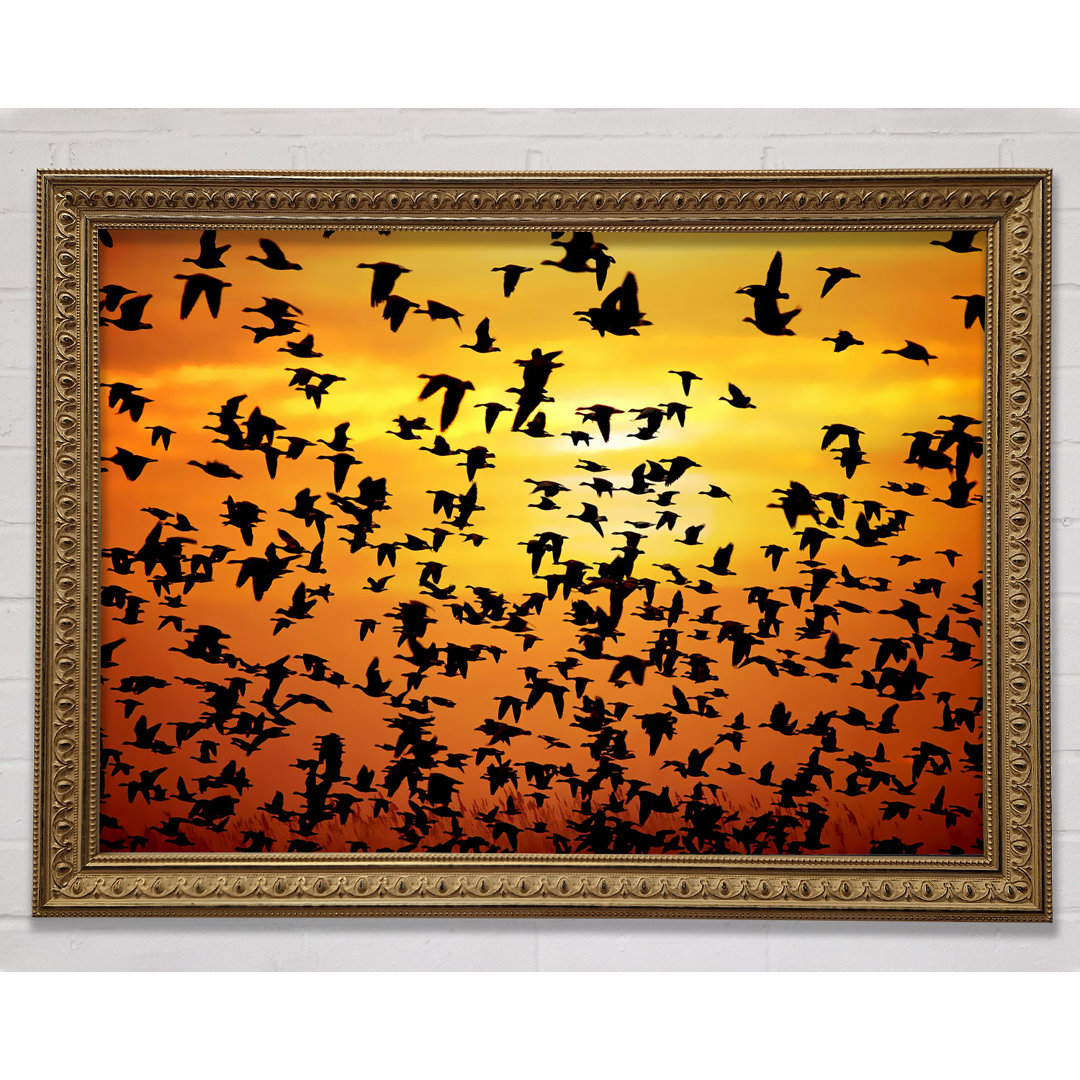 Flight Of The Golden Birds - Einzelne Bilderrahmen Kunstdrucke