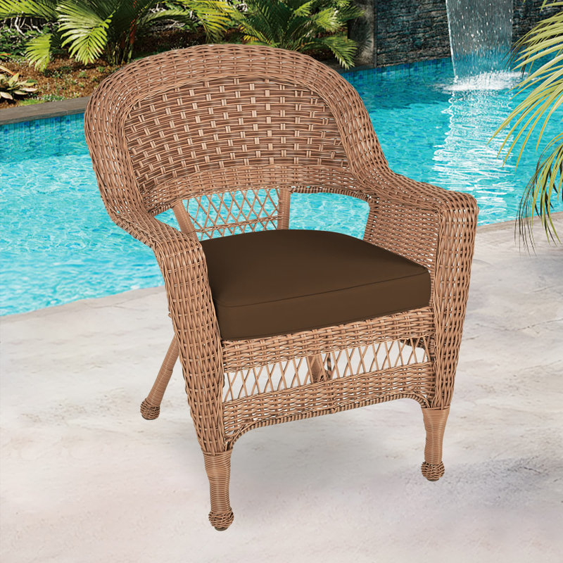 Arliss Steel Outdoor Lounge Chair, Brown, Honey