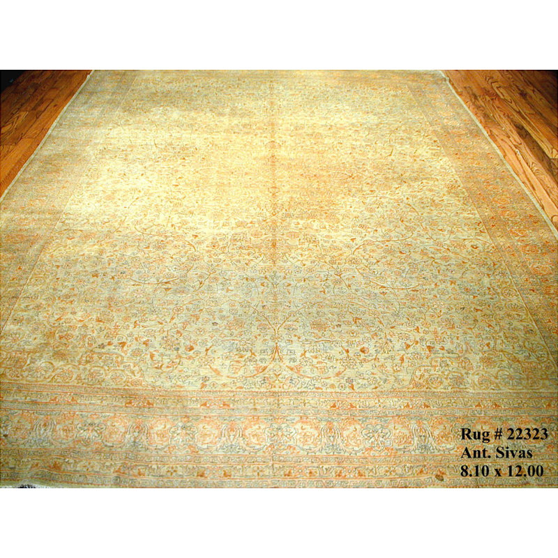 Sivas One-of-a-Kind 8'10" X 12' Area Rug