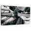 Senne Blackjack qui distribue des cartes-106819895