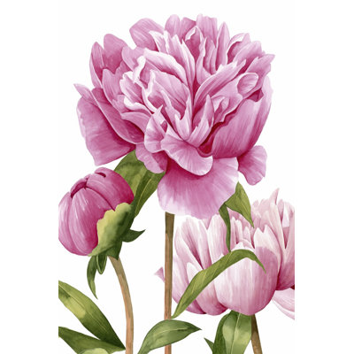 Winsome Peonies II - Wrapped Canvas Painting