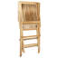 Marcus Solid Teak Folding Arm Chair