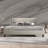 Tolson Tufted Platform Bed-1107809792-1090470841
