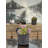 Polysilk Succulent Arrangement in Pot-1495026353