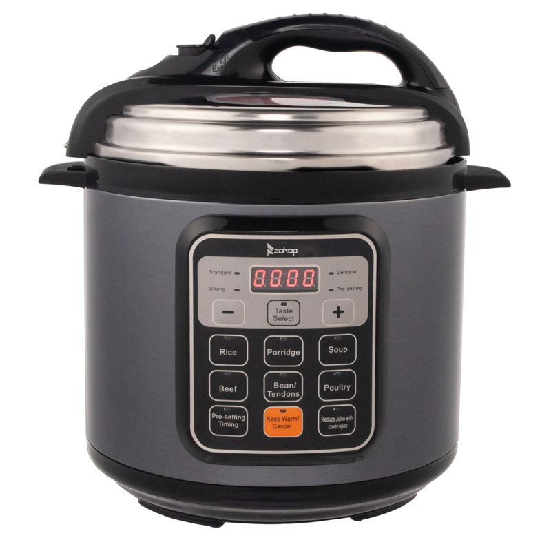 13 in 1 Push-Button 6L Electric Pressure Cooker