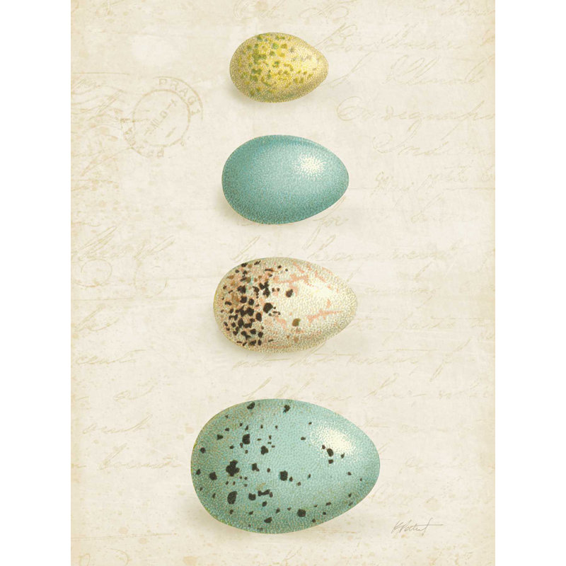 «Bird Eggs II Crop» par Katie pertiet, reproduction sur toile tendue, H 16 po x l 12 po