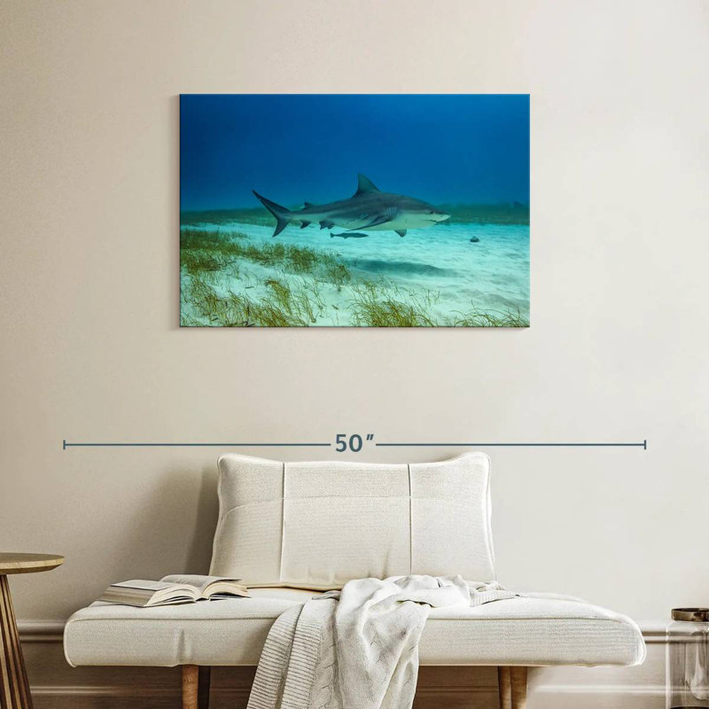 Brampt Bull Shark Habitat, 24" H x 36" W