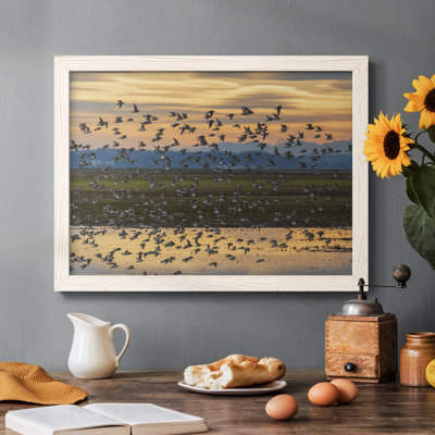 " Sunset Flight "