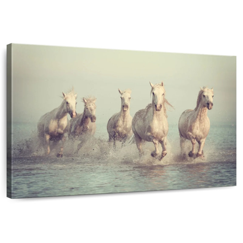 Brampt Camargue chevaux blancs, H 30 po x l 45 po