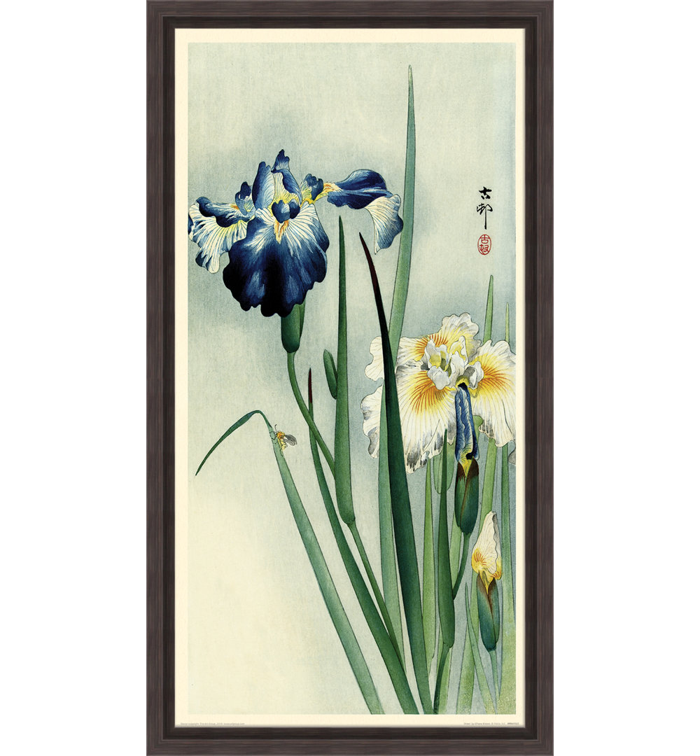 Irises by Ohara Koson - No Frame Painting