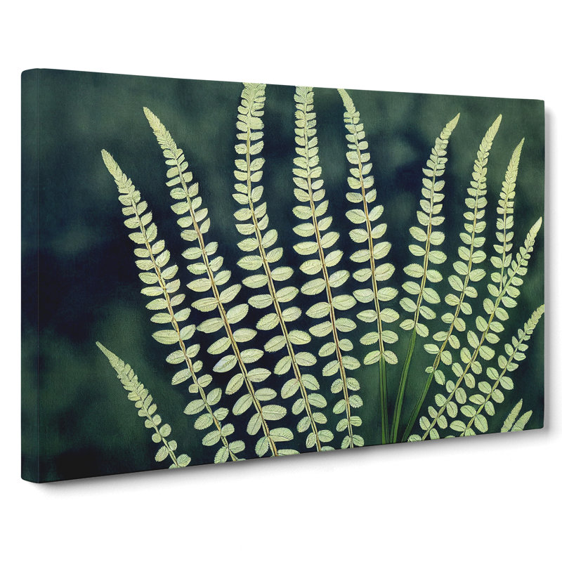Beguiling Fern Leaf - Wrapped Canvas, 40cm H x 60cm W x 3cm D