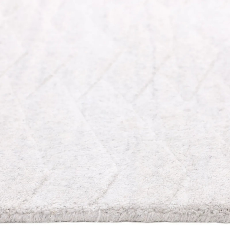 Rishab Hand Knotted Tencel Chevron Area Rug in Light Gray/White, Rectangle 5' x 8'