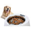 Chargeur lent pour animaux hugsmart