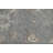 Wool Oriental Indoor Rug
