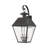 Pineville Wall Light-616744849