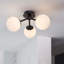Haslett Glass Spotlight