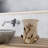 Majewski Tumbler Bathroom Tray Tumbler