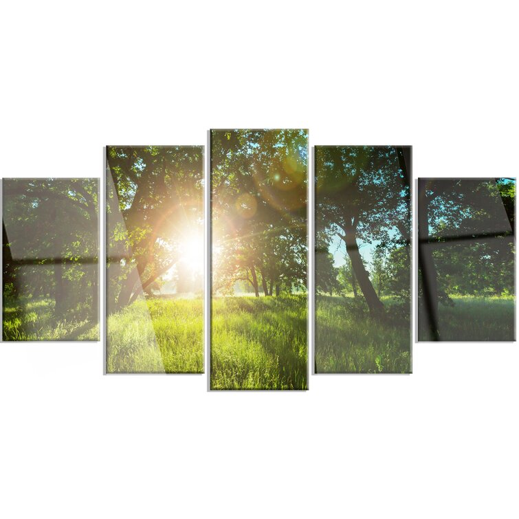 DesignArt Sunny Day In Green Forest Meadow On Canvas 5 Pieces Print ...
