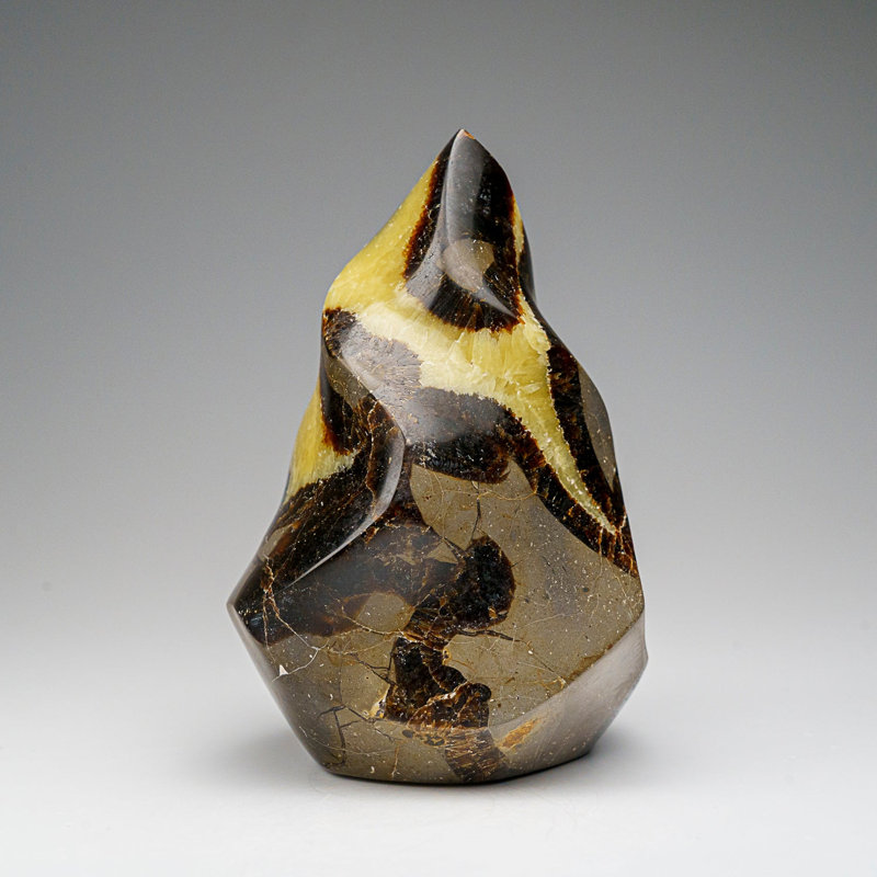 Polished Septarian Flame Freeform From Madagascar (1.6 Lbs)