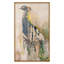 Noble Peacock 2 Print by Todaro, Katie-406675999-406675998