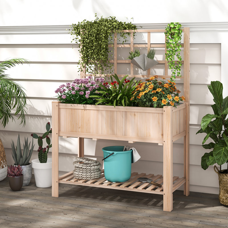 Lit de jardin surélevé avec treillis 48 po x 23 po x 63 po Zayden