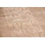 Oriental Area Rug in Beige