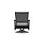 Wexler Outdoor Swivel Lounge Chair-1099678815-1102391103