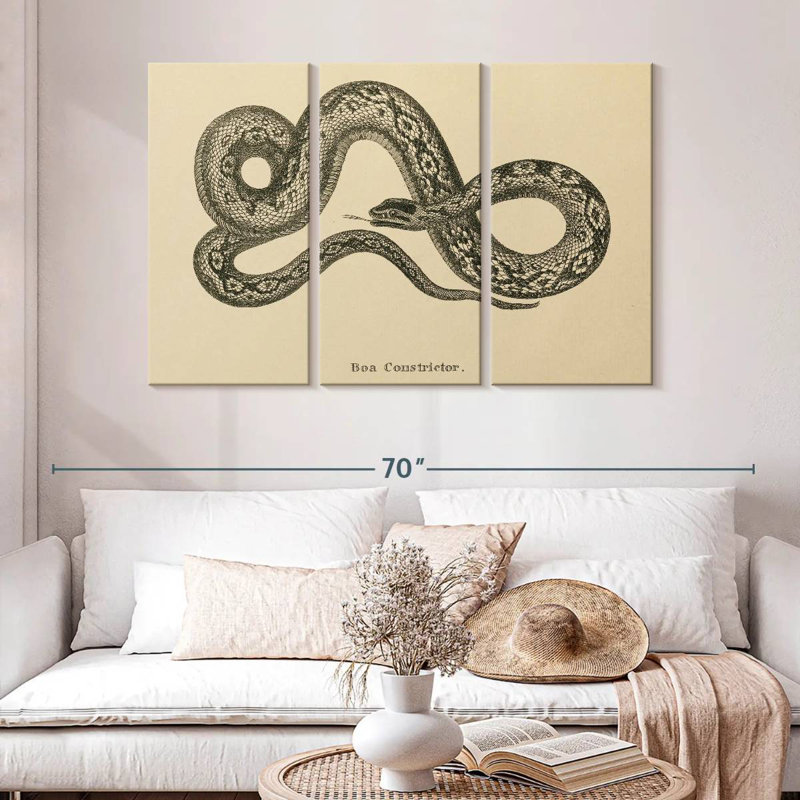 Brampt Vintage Boa Constrictor I, 32" H x 50" W