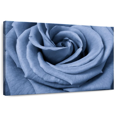 Harnek Blue Rose Close Up