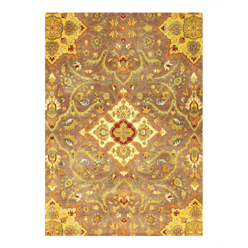 Oriental Area Rug in Brown