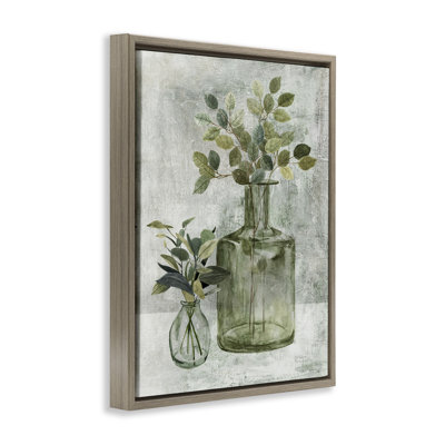 Herbal Plants with Green Leaves
