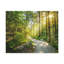 No Frame Print on Canvas-538987128