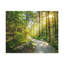 Wall Art on Canvas-538987128