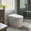 Toilette Smart Bidet avec siège chauffant, capteur de pied