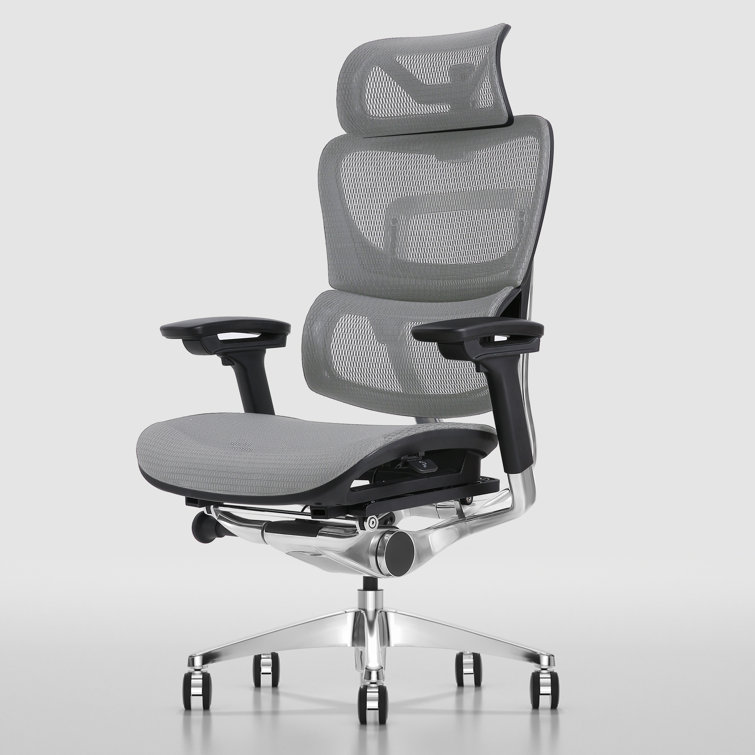 https://assets.wfcdn.com/im/43181842/resize-h755-w755%5Ecompr-r85/2366/236651600/Ergonomic+Office+Chair+with+Headrest+High+Back+Business+Mesh+Task+Chair.jpg