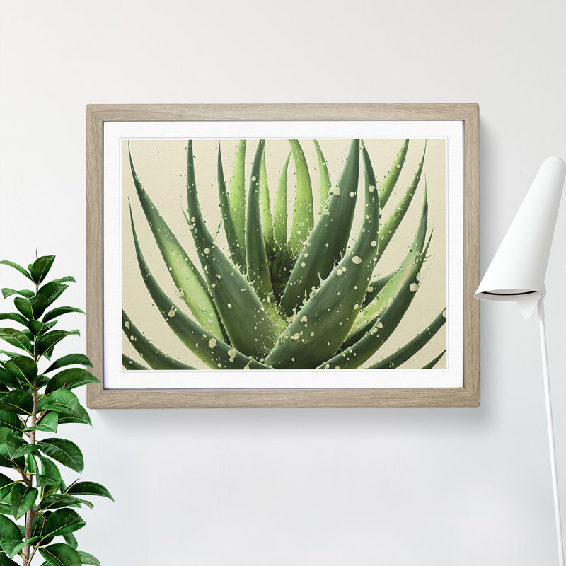 Angelical Aloe Vera Plant - Framed Print, 34cm H x 46cm W x 2cm D, Oak