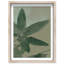 Oliver Gal Shadows I Floral & Botanical - Luxury Shadowbox Framed Wall Art-449012860-449012861