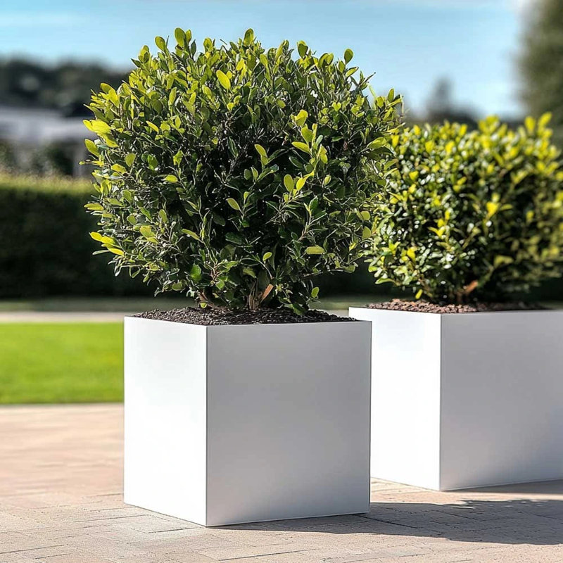 Babrow Metal Planter Box, 60cm H x 60cm W x 60cm D, White