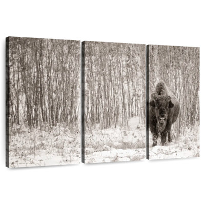 Brampt Bison In Winter Forest