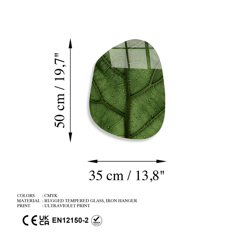 Superbe peinture en verre trempé de 14,0 po x 19,7 po | 100% verre trempé, épaisseur: 0,16 pouce | Impression de surface arrière résistante à la décoloration, couleurs vives | Parfait pour la décoration intérieure et l'esthétique moderne