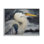 «Gray Heron Portrait» par Grace Popp - reproduction d'art sur toile