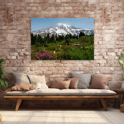 Paysage, nature, plantes, fleurs, fleurs sauvages du parc national du Mont Rainier